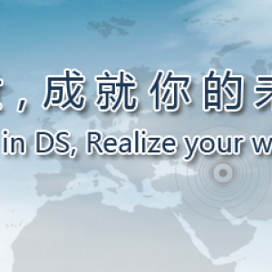 上海鼎世人才服务有限公司