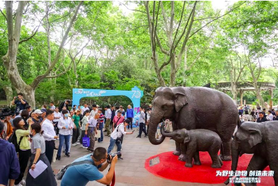 上海動物園開園70周年記念セレモニーに出席しました！～天王寺動物園と上海動物園の交流も実施～