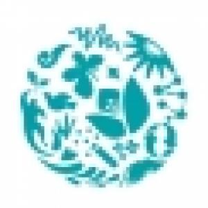 上海国際医学中心（上海国際医療センター）