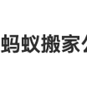 上海蚂蚁搬家有限公司