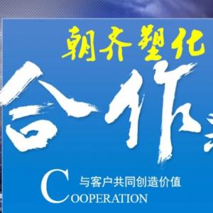 上海朝齐塑化有限公司