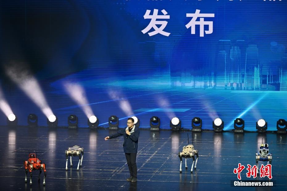 四川省がAI産業チェーン製品を発表　複数のロボットが一斉にお披露目