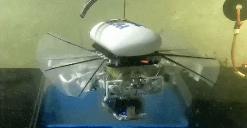 中国の科学研究者、小型ロボットを1万mの深海に投入